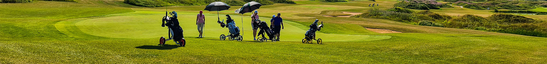 Chariots de golf électriques